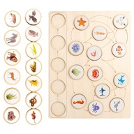 Montessori Toys Life Cycle Tray Jigsaw Puzzles for Boys Girls Infant Sqaure