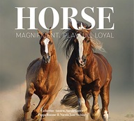 Horse: Magnificent, Playful, Loyal Austen