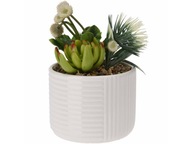 Umelé kvety v kvetináči SUCCULENT, O 10,5 cm