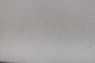 door left front front BIALE DACIA DOKKER 12-17