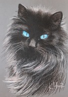 MAČKA portrét mačky olejové pastely A3
