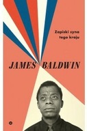 Zapiski syna tego kraju - Baldwin James