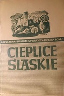 Cieplice Śląskie - Zdrój - Marian Sobański