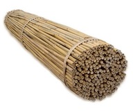 Bambusové tyče - bambusy - 8-10mm 105cm - 20ks