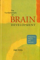 The Fundamentals of Brain Development: