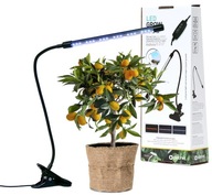 Lampa do wzrostu roślin Platinet Led Grow Lamp 3W 1300K 60Lm 24xLED 3 tryby