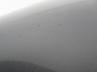 fender left front SKODA SUPERB II LF9H