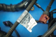 bundle electrical of the engine A4 A5 8K1971074ED CNH