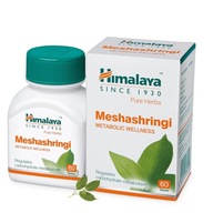 Meshashringi Zdravý metabolizmus Himalaya 60 tabliet
