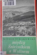 Między Śnieżnikiem a Wolinem - Witold Tyrakowski
