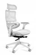 Ergonomiczny fotel biurowy ERGOTECH white frame