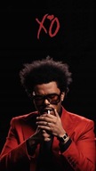 Plagát The Weeknd Weekend Spevák Obrázok 70x50 cm