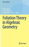 Foliation Theory in Algebraic Geometry group work