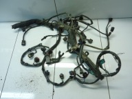 OPEL INSIGNIA ZAFIRA B 2.0CDTI B20DTH bundle motor wiring 39012590