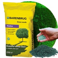 Trawa BARENBURG wiosenna NA TERENY ZACIENIONE Shadow&Sun 5kg