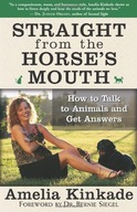 Straight from the Horse s Mouth: How to Talk to