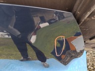 engine housing cover bonnet HYUNDAI I30 III 2016R->