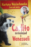 Carlito mrówkojad z Wenezueli - Wojciechowska