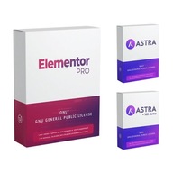 Zástrčka Astra Pro + Elementor Pro + Viac ako 170 Demo + Astra Premium Sites