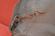 fender left front front SREBRNY RENAULT TRAFIC 14