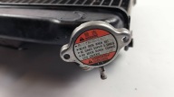 water cooler YAMAHA XVZ 1300