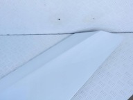 MCLAREN 570S 540C 570GT Tür PANEL Blende Abdeckung L oder P