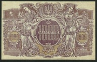 UKRAJINA 1000 VLNITÝCH 1918 P-35a.2 UNC VODOZNAK B. VZÁCNY