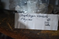 IDEALNA Câblage Console PORSCHE TAYCAN 1