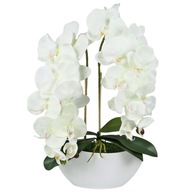 Umelá orchidea v kvetináči, ecru, ako živá, 2 výhonky 53 cm