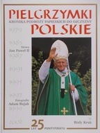 Leszek Sosnowski red. - Pielgrzymki Polskie