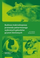 Budowa makroskopowa przewodu pokarmowego wybranych gatunków gryzoni domowyc