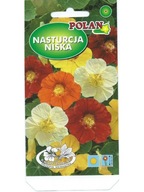 Nasturtium nízka 5g zmes