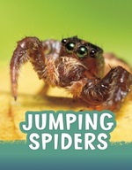 Jumping Spiders Jaycox Jaclyn