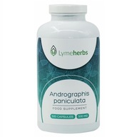Andrographis paniculata 500 mg, 500 kapsúl
