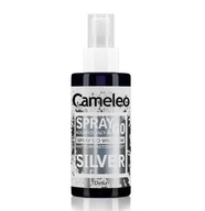 DELIA Cameleo Spray&Go Silver 150ml