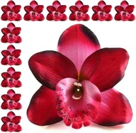 Storczyk cymbidium główka Kwiat Fuchsia 12 szt