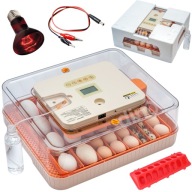 AUTOMATA INKUBÁTOR DINO PRO SERIES 56 TOJÁS Fürj 12V 230V