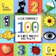 Moje pierwsze 100 słów Kolory numery kształty