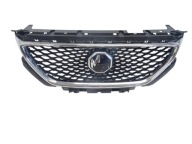 grill grille radiator front front MG ZS 10021164