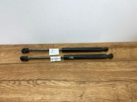 damper shock absorber bonnets Dodge Charger 2015+ USA