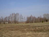 Działka, Grójec, Grójec (gm.), 3000 m²