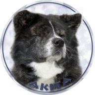 Samolepka na auto - Akita