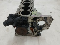BLOK Motore BMW E60 535 D LIFT 306D5 7792822