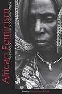 African Feminism: The Politics of Survival in