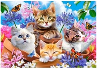 Obraz Maľovanie podľa čísel Mačky 40x50