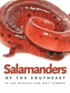 Salamanders of the Southeast Mitchell Joe