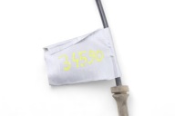 sensor ABS left rear part LAND ROVER DISCOVERY V HPLA-2C190-BA