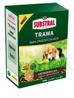 SUBSTRAL TRAWA UNIWERSALNA SAMO ZAGĘSZCZAJĄCA 3 KG