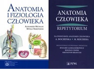 Anatomia Michajlik+ Anatomia Aleksandrowicz