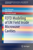 FDTD Modeling of EM Field inside Microwave